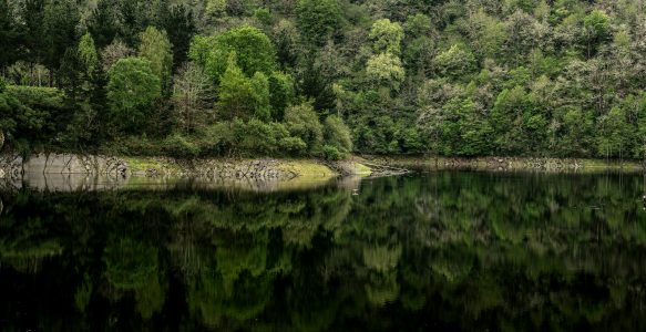 «A TRAVÉS DE MÍ», RENIER JIMÉNEZ